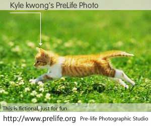 Kyle kwong's PreLife Photo