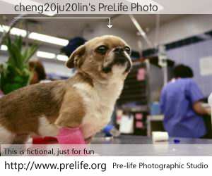 cheng20ju20lin's PreLife Photo