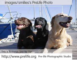 images/smilies's PreLife Photo
