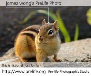 james wong's PreLife Photo