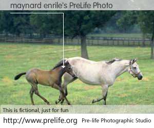 maynard enrile's PreLife Photo