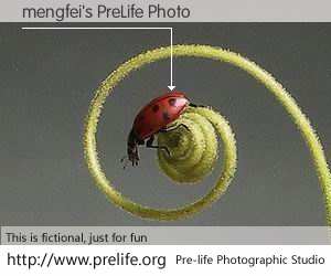 mengfei's PreLife Photo