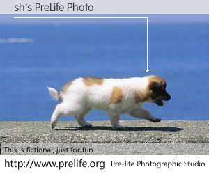 sh's PreLife Photo