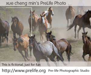 xue cheng min's PreLife Photo
