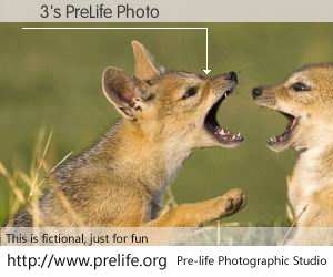 Ҷ3's PreLife Photo
