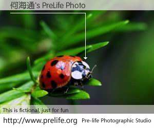 何海通's PreLife Photo