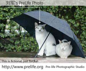 刘军's PreLife Photo