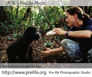 大牛's PreLife Photo