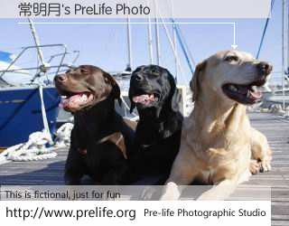 常明月's PreLife Photo