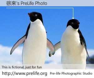 徐来's PreLife Photo