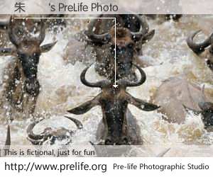 朱嫄嫄's PreLife Photo