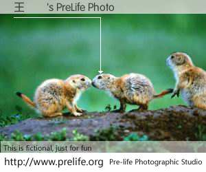 王國樑's PreLife Photo