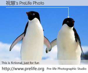 祝慧's PreLife Photo