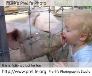 陈颖's PreLife Photo