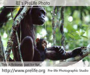 陳榮挺's PreLife Photo