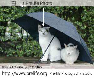 陳百強's PreLife Photo