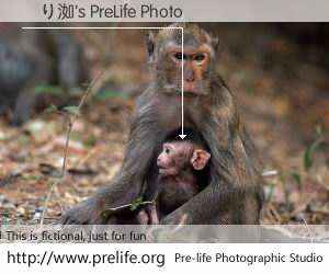 雋り洳's PreLife Photo