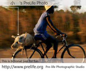 馮小寶's PreLife Photo