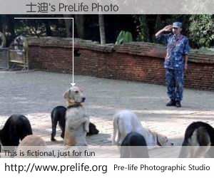 黃士迪's PreLife Photo