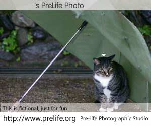 �³�'s PreLife Photo